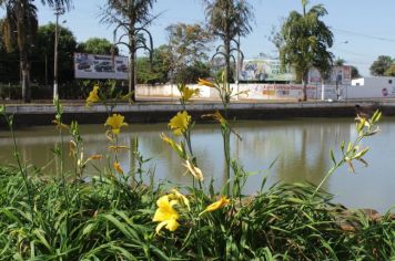 Foto - Atrativos  Turísticos de Guaíra