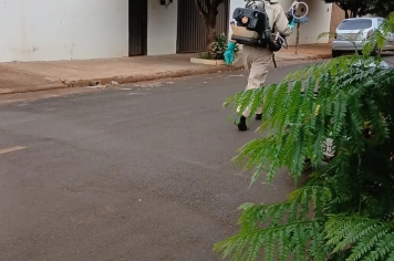 Foto relacionada - Controle de Vetores e Zeladoria seguem em batalha diária contra o implacável Aedes aegypti