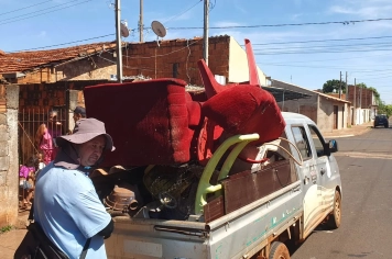 Foto - Combate a Dengue nov 25