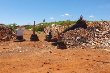 Foto - Combate a Dengue nov 25