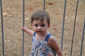 Foto - 11ª FAIG