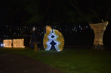 Foto - Natal Encantado 2025