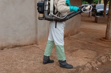Foto relacionada - Controle de Vetores e Zeladoria seguem em batalha diária contra o implacável Aedes aegypti