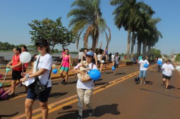 Confira como foi a CãoMiada