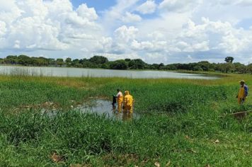 Seguem os Trabalhos Intensos de Combate à Dengue em Guaíra.