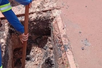 Guaíra Registra Primeiro Óbito por Dengue 