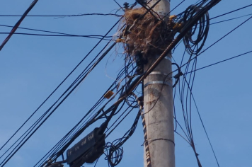 Guaíra mantém fiscalização de fios de telefonia e internet para evitar poluição visual e acidentes 