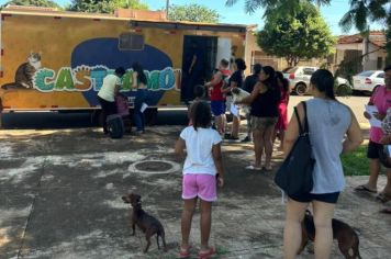 Mutirão de Castração na região do Bairro Bom Jesus