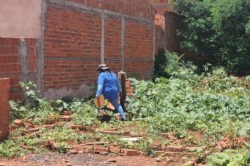 Na Luta Contra a Dengue: Equipes Continuam Com o Trabalho de Combate ao Mosquito