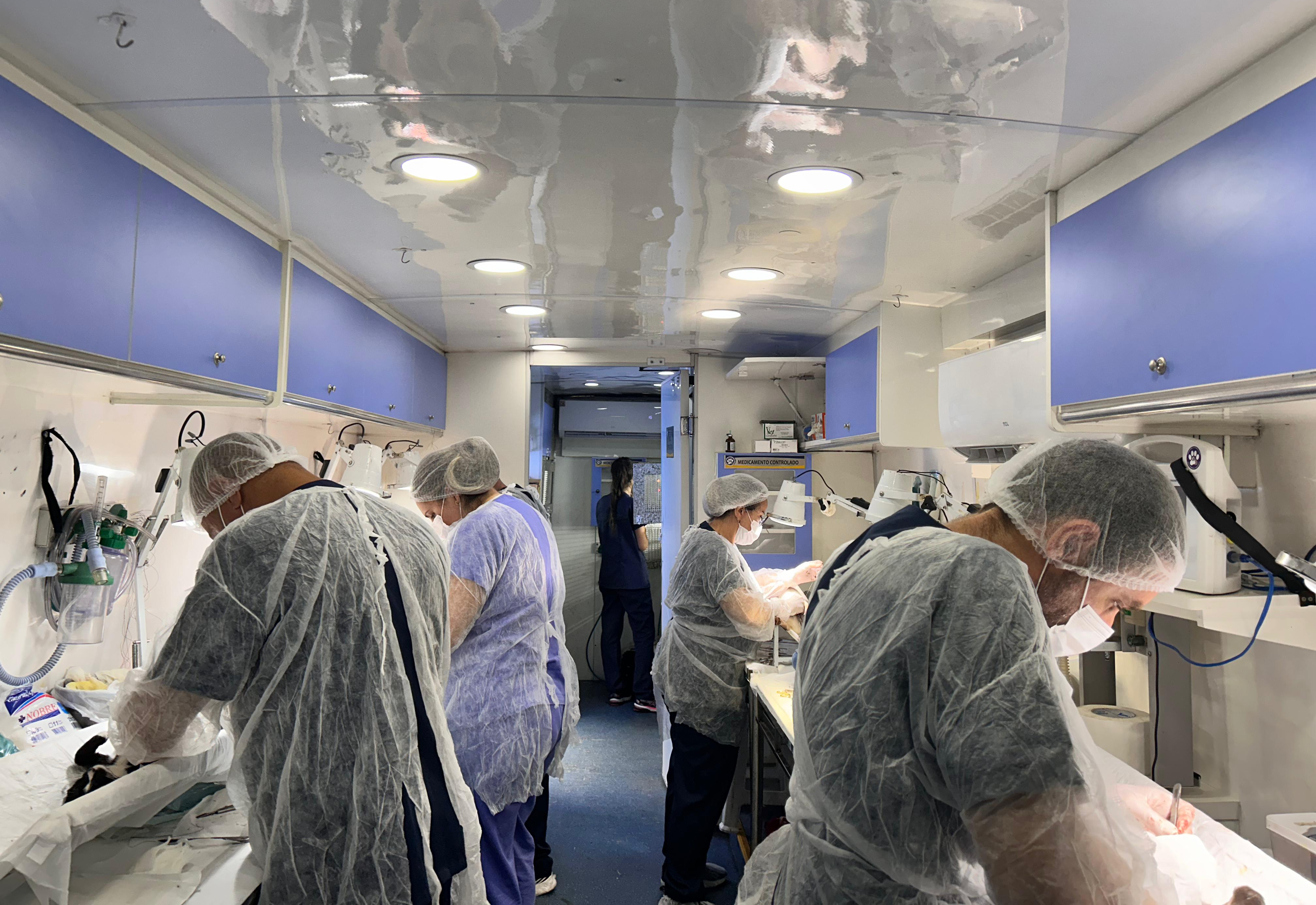 Castração acontece no próximo dia 27 de março, em frente à Clínica Veterinária
