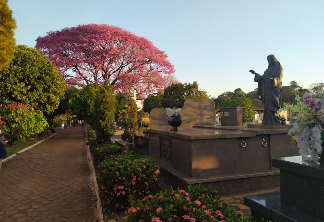 Cemitério Municipal se prepara para Dia de Finados; confira horário das missas