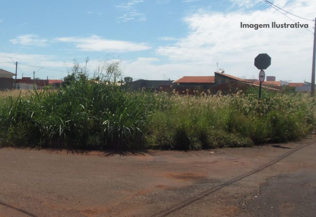 Lixo e Mato Alto em Terrenos Vagos Podem Gerar Multas em Guaíra