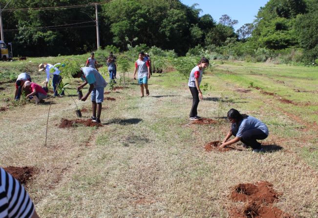 CDHU e Prefeitura implantam Pomar Urbano no Guaíra J
