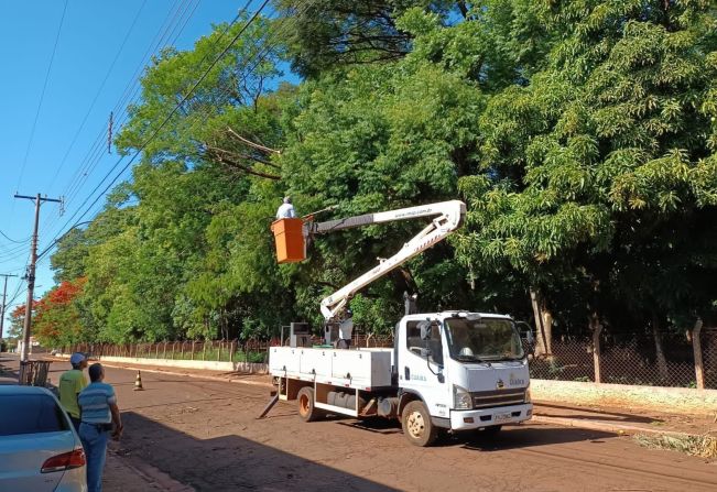 Prefeitura faz podas preventivas no Zoológico, com apoio da CPFL