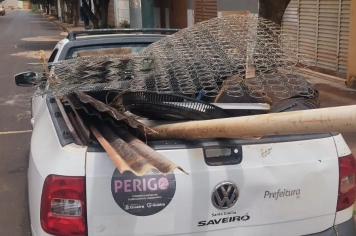 Foto - Combate a Dengue