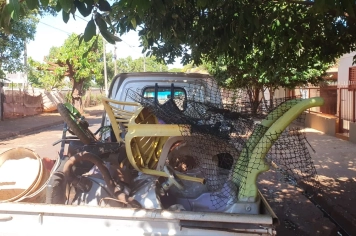 Foto - Combate a Dengue