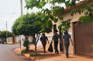 Foto - Combate a Dengue