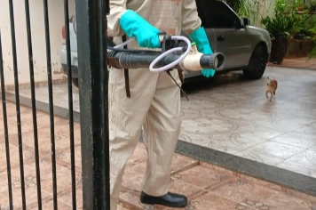 Foto - Combate a Dengue