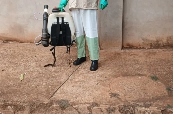 Foto - Combate a Dengue