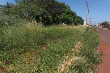 A Estratégia do Bolso: Guaíra aperta o cerco contra terrenos sujos