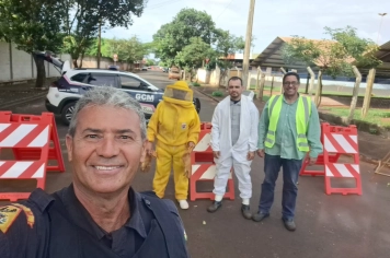 Interdição na Rua 28 (CSU) para captura de enxames de abelhas em Guaíra