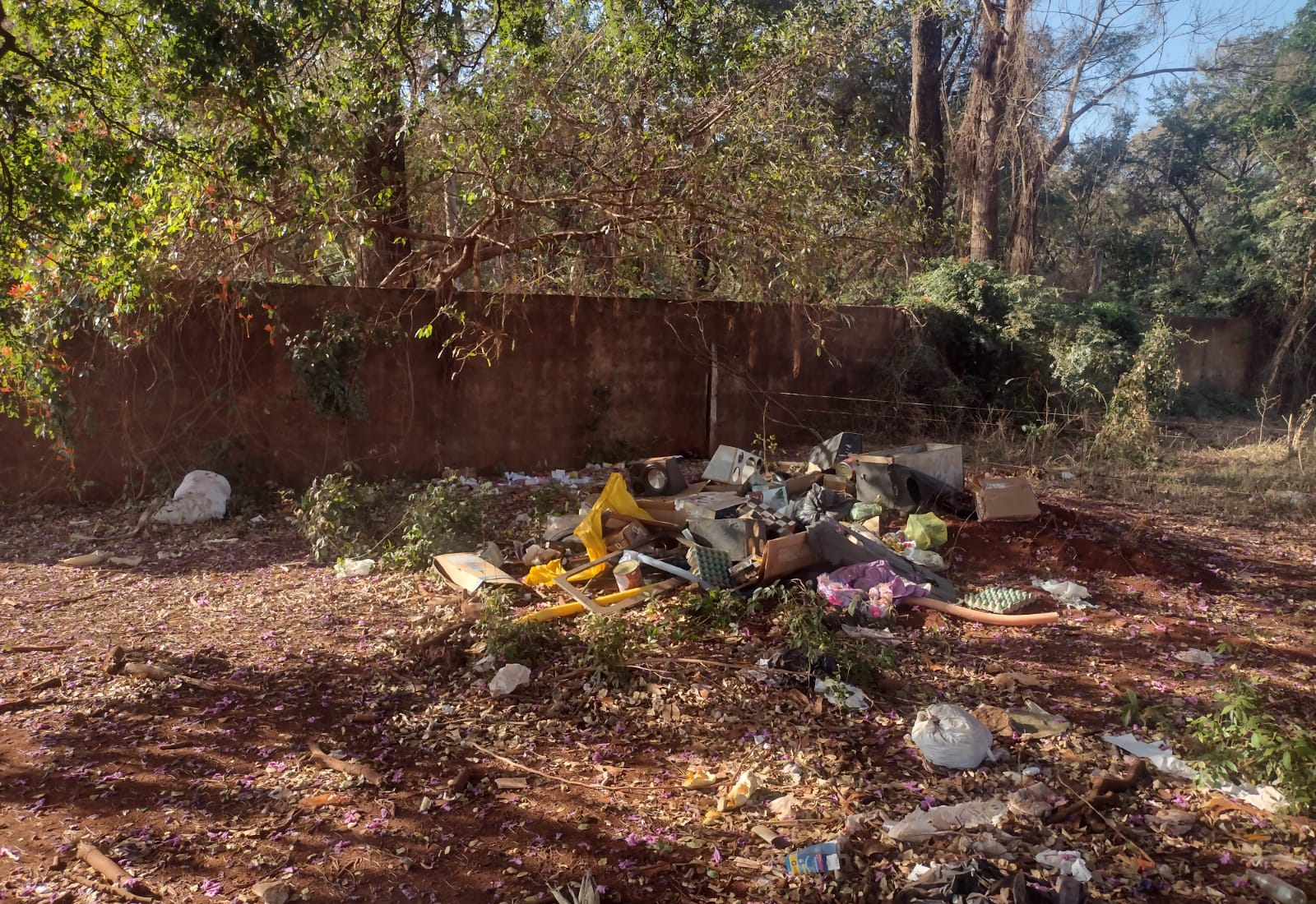 Crime ambiental: lixo irregular vira ameaça ao zoológico de Guaíra