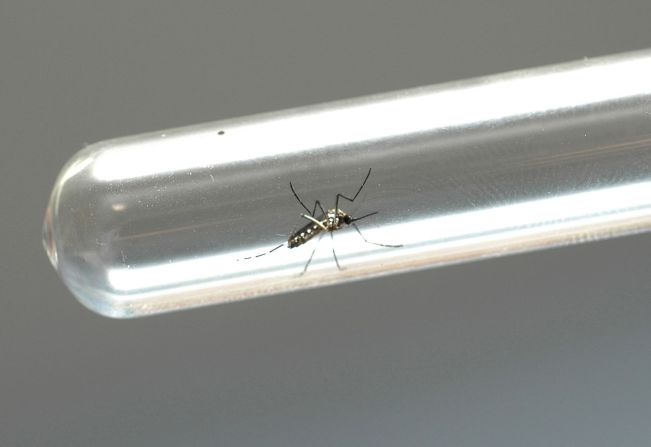 SEMANA ESTADUAL DE MOBILIZAÇÃO CONTRA AS ARBOVIROSES