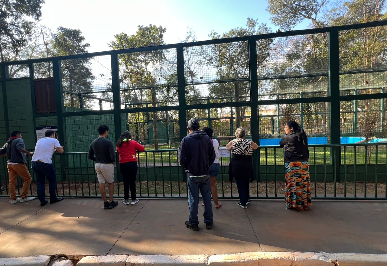 Visita ao Zoo Municipal promove integração e bem-estar para usuários do CAPS  