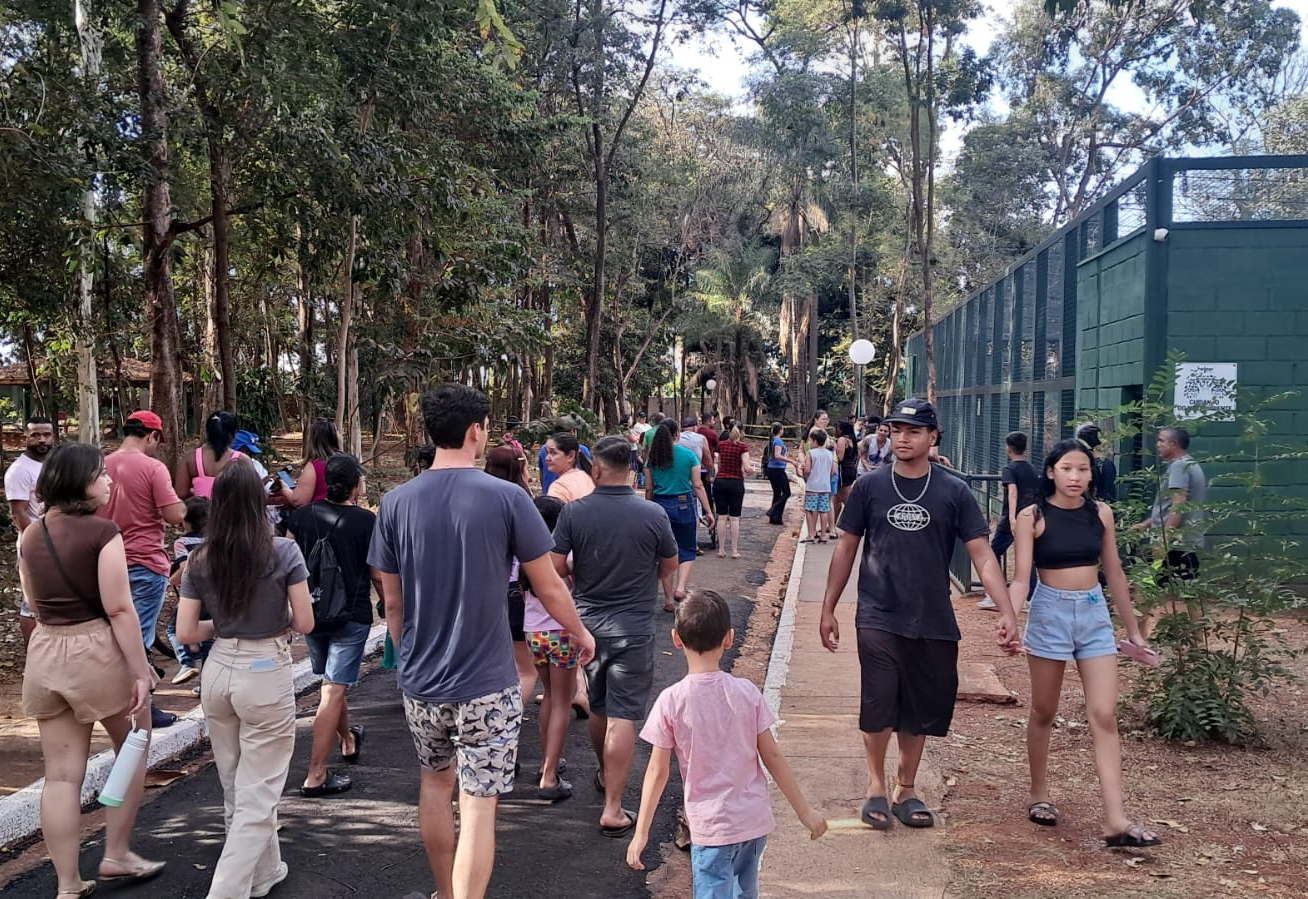 Chegada da onça Caeté impulsiona visitação no Zoológico de Guaíra