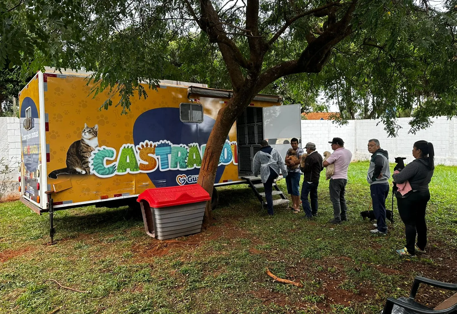 Guaíra anuncia retomada do Mutirão de Castração após decisão favorável da Justiça